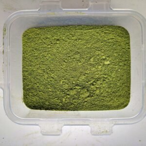 5:1 Extract Peyote Cactus Powder