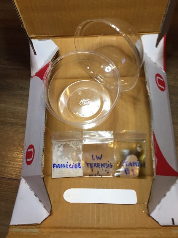 Germination Kit - Image 3