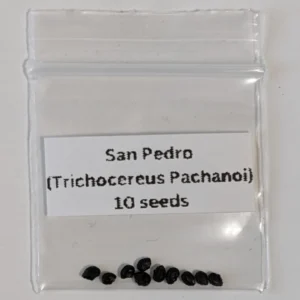 San Pedro Cactus Seeds